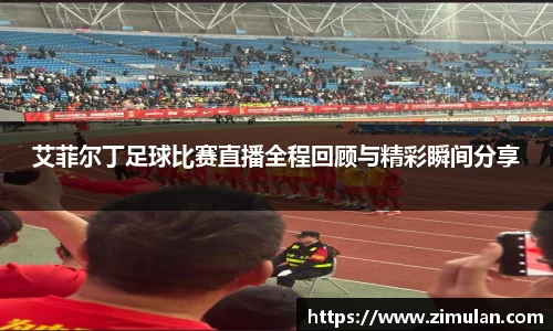艾菲尔丁足球比赛直播全程回顾与精彩瞬间分享